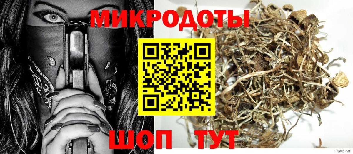 Псилоцибиновые грибы Cubensis Новочебоксарск