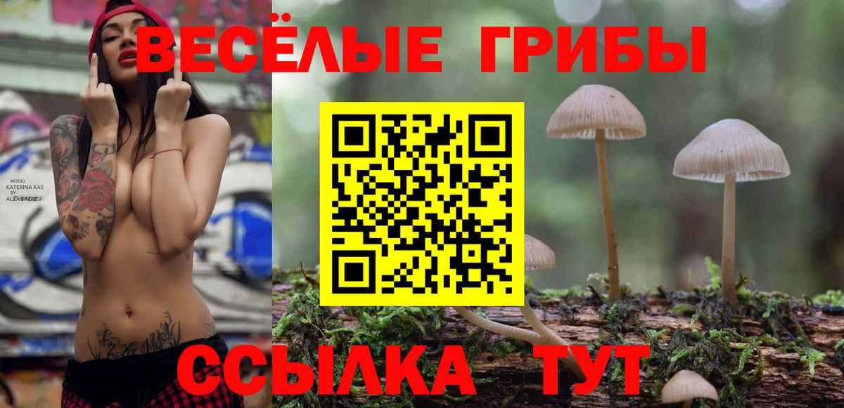 сколько стоит  Вход с VPN  Новочебоксарск  Псилоцибиновые грибы прущие грибы  Галлюциногенные грибы Magic Shrooms 